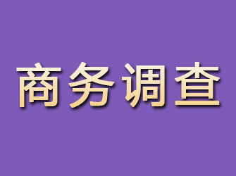 马尾商务调查